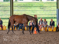 AH040924-13 - Anthony Honeyball Stable Visit